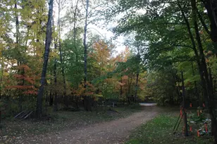 53710 E Ellison Lake Rd, Barnes, WI 54873 - Photo 48