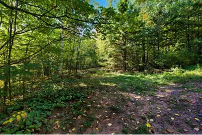 85Xxx Apple Hill Rd, Bayfield, WI 54814 - Photo 6