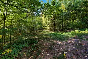 85Xxx Apple Hill Rd, Bayfield, WI 54814 - Photo 6