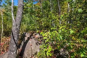 85Xxx Apple Hill Rd, Bayfield, WI 54814 - Photo 18