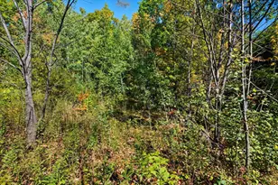 85Xxx Apple Hill Rd, Bayfield, WI 54814 - Photo 16