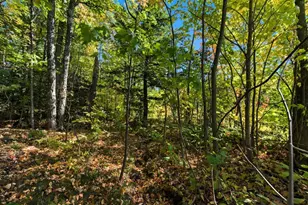 85Xxx Apple Hill Rd, Bayfield, WI 54814 - Photo 20