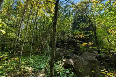 85Xxx Apple Hill Rd, Bayfield, WI 54814 - Photo 22