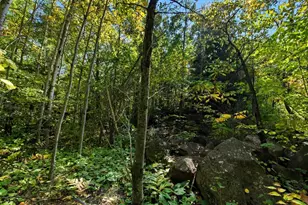 85Xxx Apple Hill Rd, Bayfield, WI 54814 - Photo 22