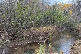 8353 Mannik Rd, Iron River, WI 54847 - Photo 12