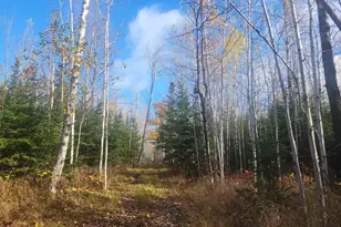 85255 Ravine Rd, Port Wing, WI 54865 - Photo 58