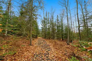 85255 Ravine Rd, Port Wing, WI 54865 - Photo 28