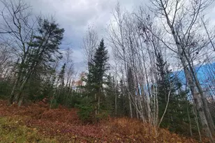 85255 Ravine Rd, Port Wing, WI 54865 - Photo 30