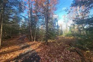 85255 Ravine Rd, Port Wing, WI 54865 - Photo 60