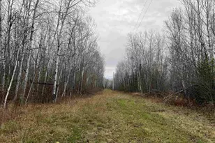 55260 Hwy 63, Grand View, WI 54839 - Photo 48