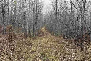 55260 Hwy 63, Grand View, WI 54839 - Photo 40