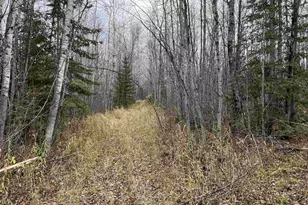 55260 Hwy 63, Grand View, WI 54839 - Photo 36