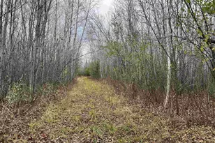 55260 Hwy 63, Grand View, WI 54839 - Photo 46