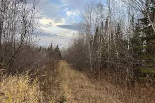 55260 Hwy 63, Grand View, WI 54839 - Photo 54