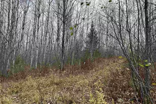 55260 Hwy 63, Grand View, WI 54839 - Photo 38