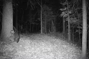 6692 County Rd C, South Range, WI 54874 - Photo 30