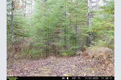 6692 County Rd C, South Range, WI 54874 - Photo 32