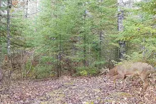 6692 County Rd C, South Range, WI 54874 - Photo 32