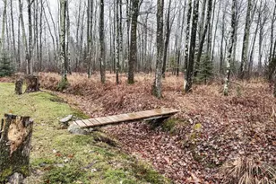 11466 S Westerlund Loop, Solon Springs, WI 54873 - Photo 46