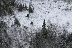 Tbd County Hwy E, Bennett, WI 54873 - Photo 4