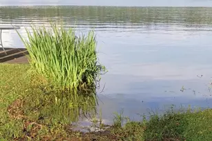 10922 S Stone Rd, Solon Springs, WI 54873 - Photo 48