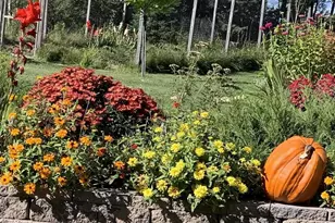 87985 Bark Point Rd, Herbster, WI 54844 - Photo 38