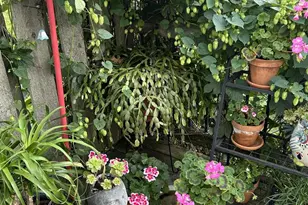 87985 Bark Point Rd, Herbster, WI 54844 - Photo 66