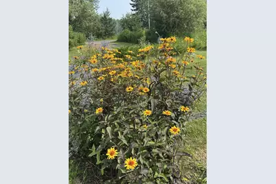 87985 Bark Point Rd, Herbster, WI 54844 - Photo 74