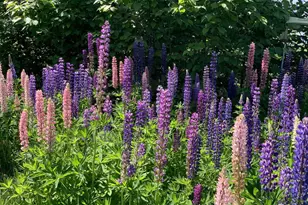 87985 Bark Point Rd, Herbster, WI 54844 - Photo 28