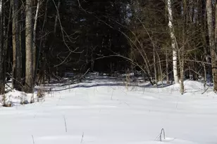 N8357 Down River Rd, Phillips, WI 54555 - Photo 1