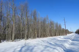 N8357 Down River Rd, Phillips, WI 54555 - Photo 6