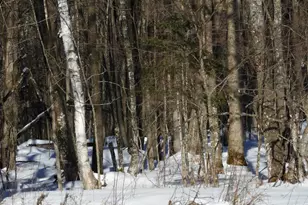 N8357 Down River Rd, Phillips, WI 54555 - Photo 2