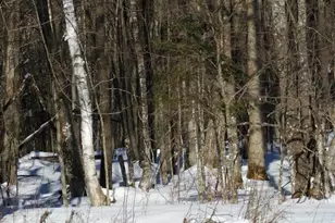 N8357 Down River Rd, Phillips, WI 54555 - Photo 2