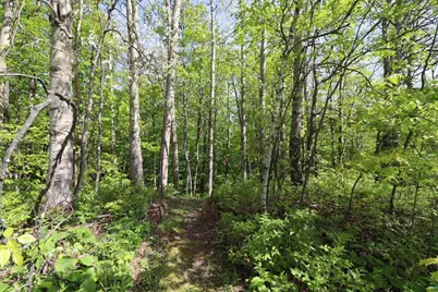 Lots 19 &amp; 38 Eagle Run, Bayfield, WI 54814 - Photo 24