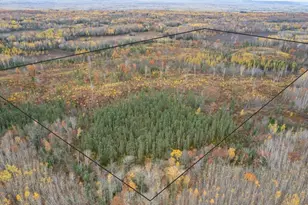 7202 S State Rd 35, Foxboro, WI 54836 - Photo 34