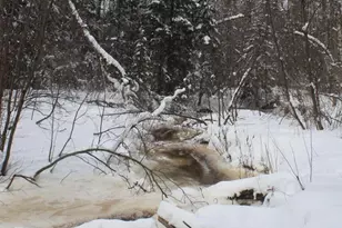 7195 E State Hwy 13, South Range, WI 54874 - Photo 68