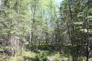 7195 E State Hwy 13, South Range, WI 54874 - Photo 96