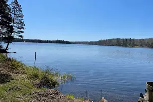 66460 Mieritz Rd, Iron River, WI 54847 - Photo 4
