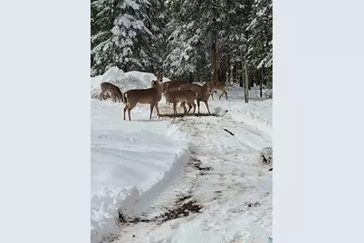 6491 S Old Lyman Lake Rd, South Range, WI 54874 - Photo 34