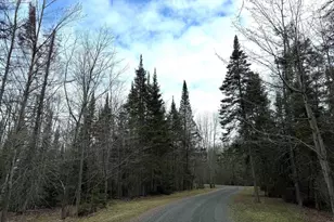 6588 S County Rd P, Lake Nebagamon, WI 54849 - Photo 50