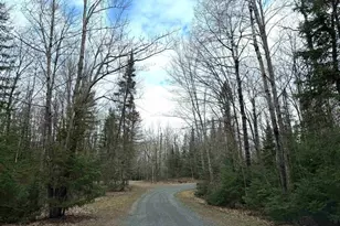 6588 S County Rd P, Lake Nebagamon, WI 54849 - Photo 54