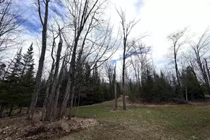 6588 S County Rd P, Lake Nebagamon, WI 54849 - Photo 56