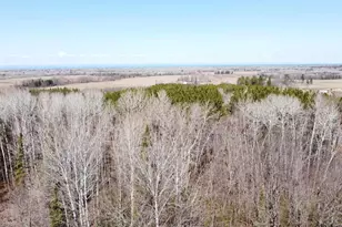 2950 Oulu Pioneer Rd, Iron River, WI 54847 - Photo 58