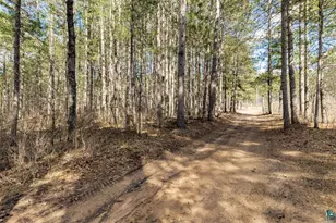 143Xx E Catherine Lake Rd, Solon Springs, WI 54873 - Photo 20
