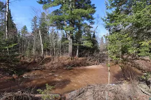 14615 Cranberry River Rd, Herbster, WI 54844 - Photo 4