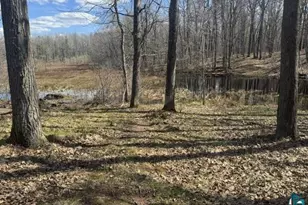 13160 County Rd B, Lake Nebagamon, WI 54849 - Photo 24