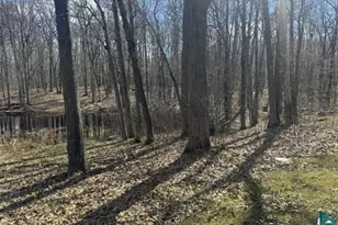 13160 County Rd B, Lake Nebagamon, WI 54849 - Photo 26
