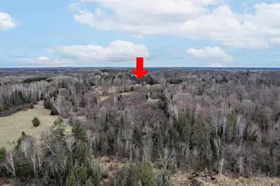 9942 Fire Tower Rd, Lake Nebagamon, WI 54849 - Photo 8