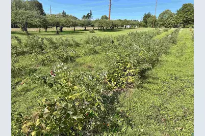 34045 S County Hwy J, Bayfield, WI 54814 - Photo 10