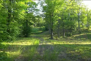 83Xxx Ashwabay Heights Rd, Bayfield, WI 54814 - Photo 10